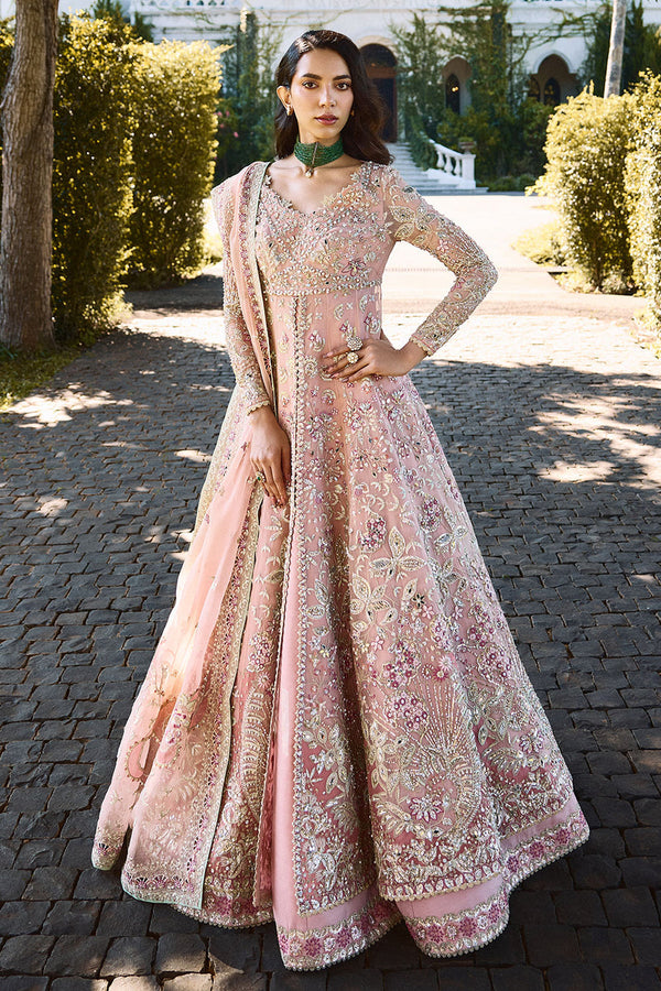 florencea